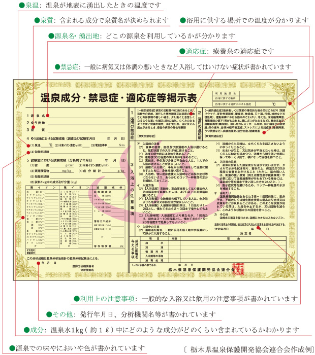 泉温：温泉が地表に湧出したときの温度です。／泉質：含まれる成分で泉質名が決められます。／源泉名・湧出地：どこの源泉を利用しているかが分かります。／適応症：療養泉の適応症です。／禁忌症：一般に病気又は体調の悪いときなど入浴してはいけない症状が書かれています。／利用上の注意事項：一般的な入浴又は飲用の注意事項が書かれています。その他／温泉水1kg（約1リットル）中にどのような成分がどのくらい含まれているかわかります。／[栃木県温泉保護開発協会連合会作成例]